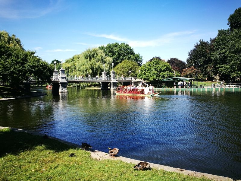 Boston Common