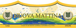 Birrificio del Ducato Nuova Mattina Beer 946