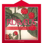 Founder's Rubaeus Beer