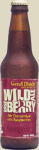 Great Divide Wild Raspberry Ale Beer