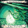 Jolly Pumpkin Luciernaga Beer 2161