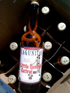 Lagunitas Little Sumpin Extra Ale Beer
