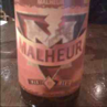 Malheur 12 Beer 1067