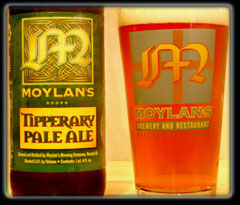 Moylan's Tipperary Pale Ale Beer 2632