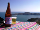 Pacena Beer 1360