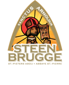 Steenbrugge Dubbel Bruin Beer