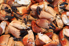 Food in Ostend