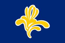 Flag of the Brussels Capital Region