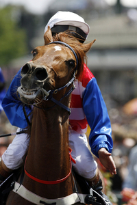 horse racing ostend