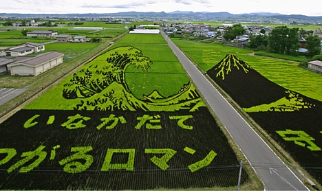 Rice_art