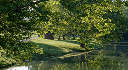 woodford1