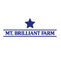 mtBrilliant
