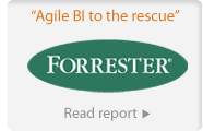 "Agile BI to the rescue" Forrester | Read report