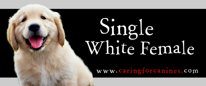 Singlewhitefemale