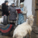 Russia Holds Most Soulful Election in World History Russia Holds Most Soulful Election in World History