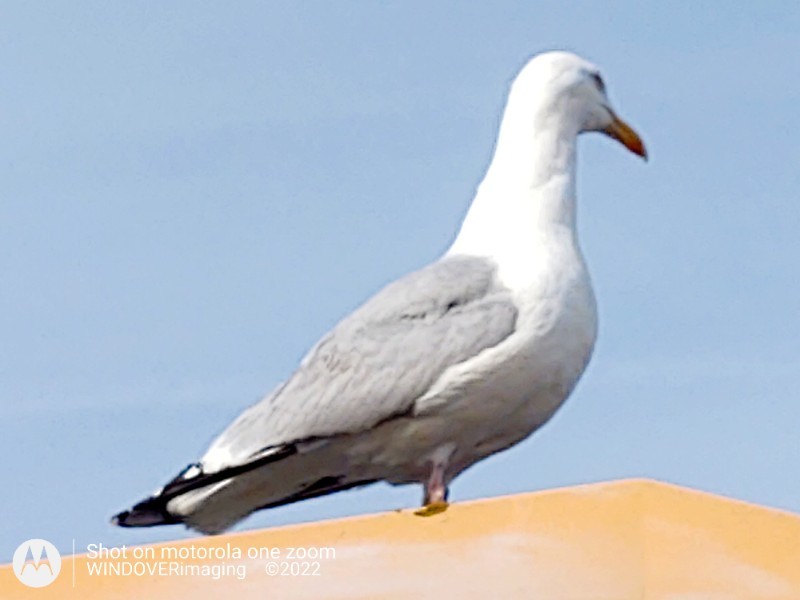 Img 20220509 171105047