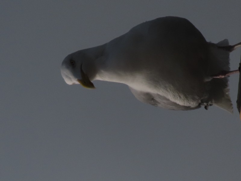 20220509170857 img 2543