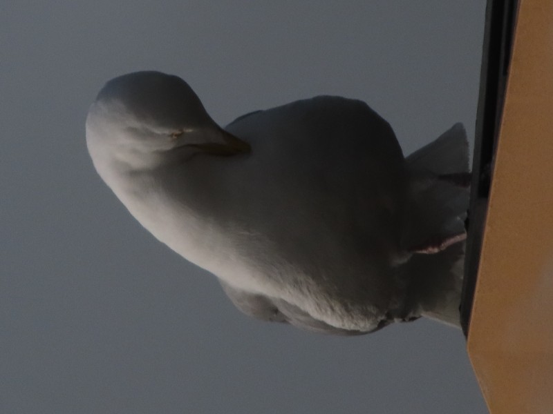 20220509170850 img 2537