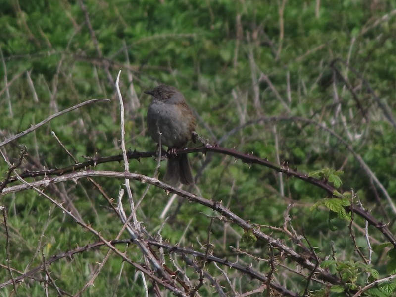 20220509154842 img 2256