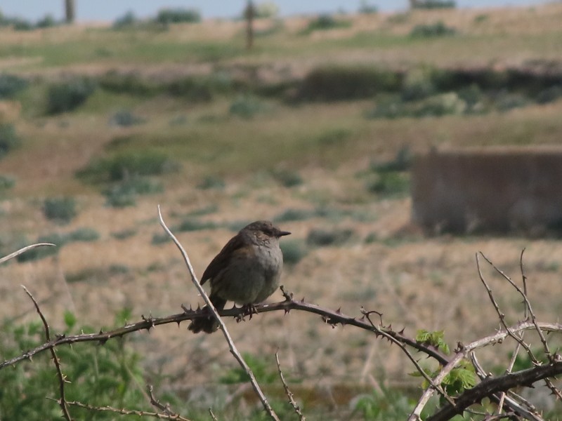 20220509154802 img 2251