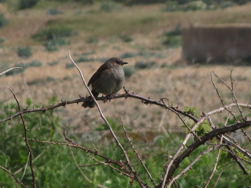 20220509154802 img 2248