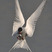Arctic Tern