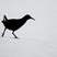 Water Rail