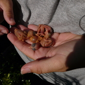 BABIES!!!