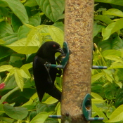in FLORIDA!!!