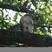 I spotted this Red-tailed Hawk while visiting the Planting Fields Arboretum in NY. Front view