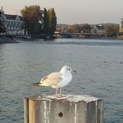 Constance, Germany