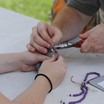 Banding purple martins