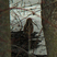 American Woodcock