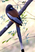 Rufous Treepie Rufous Treepie