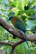 INBIO, Santo Domingo de Heredia, Costa Rica