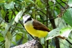 San Jose, Costa rica