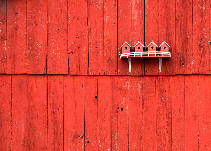 Small red bird houses on the side of a rustic barn outside of Stoughton, Wisconsin. Large