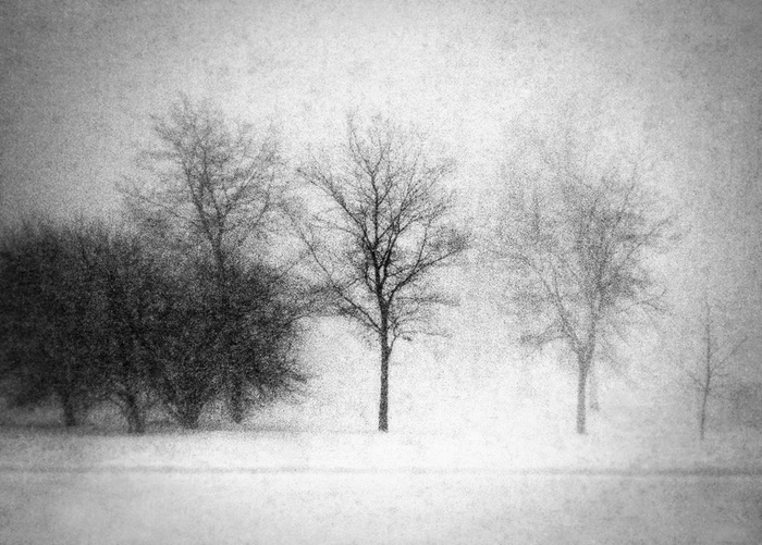 I captured this image on the west side of Madison, Wisconsin near Elver Park in the midst of a blinding snow storm. It was snowing so hard I could barely see two feet in front of me. Large