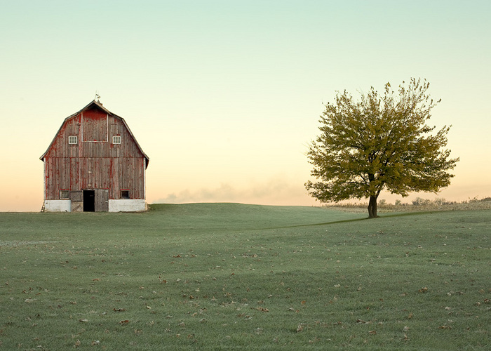 A cold, autumn morning on the farm outside of Edgerton, Wisconsin. Large