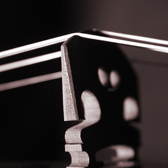 Square_crop