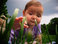 Small
