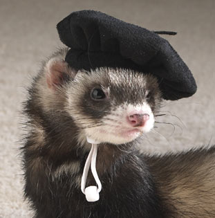 Ferrett-beret