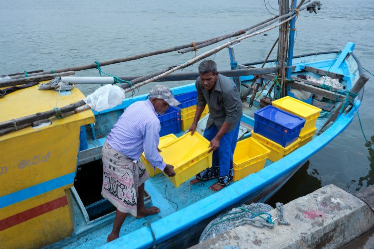 Phoenix Launch 2022 Industrial Collection of Crates & Pallets