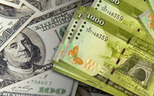 Sri Lankan Rupee Falls 8% Against US Dollar in First Half of 2026