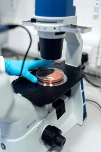 Semax and the Emerging Complexity of Neuroregulatory Peptide Research