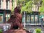 Adventures in Savannah, Inc.