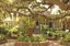 Adventures in Savannah, Inc.