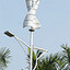 Solar Green Effects