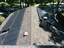 Willow Glen Electric, Inc.