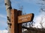 Whitewood Designs, Inc